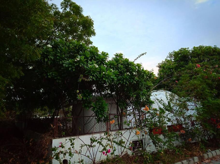 Mamta'S Home- Kensville Nānodra Exteriér fotografie