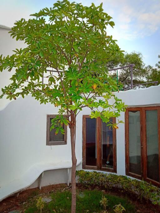 Mamta'S Home- Kensville Nānodra Exteriér fotografie